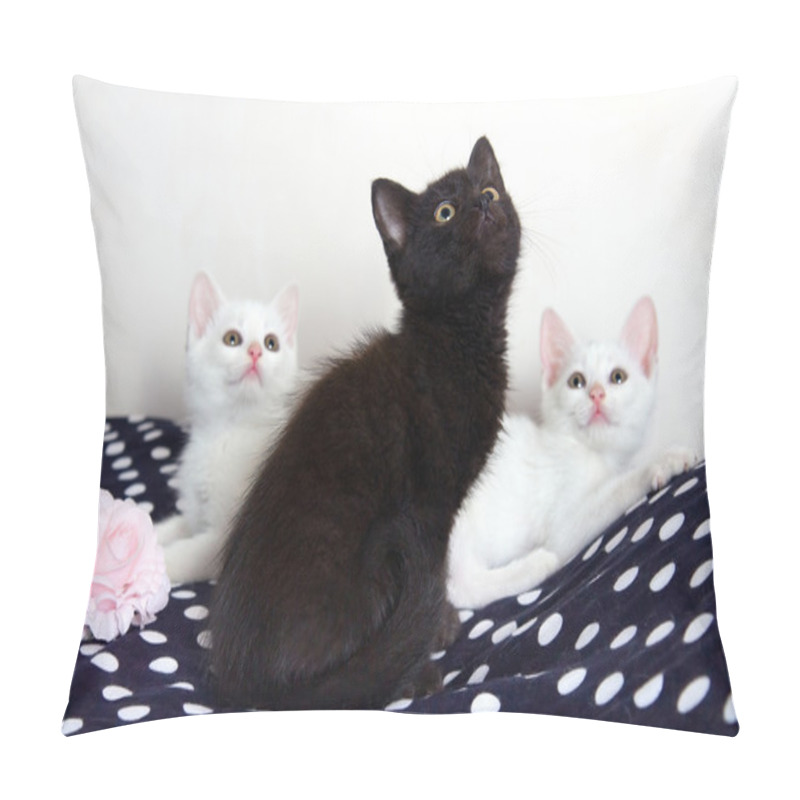 Personality  Three Kittens - White And Black Pillow Covers