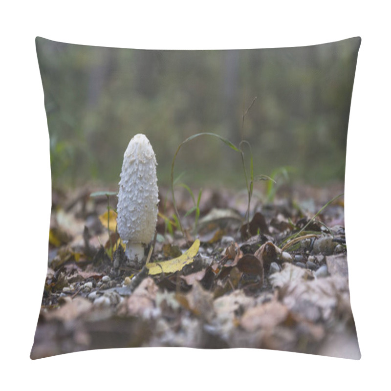 Personality  Coprinus Comatus, Selective Focus Pillow Covers