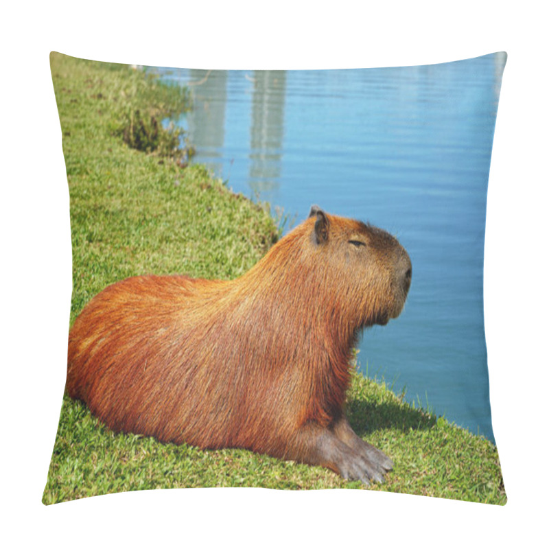 Personality  Capybara Chilling Peaceful Lying By The Lake Pillow Covers