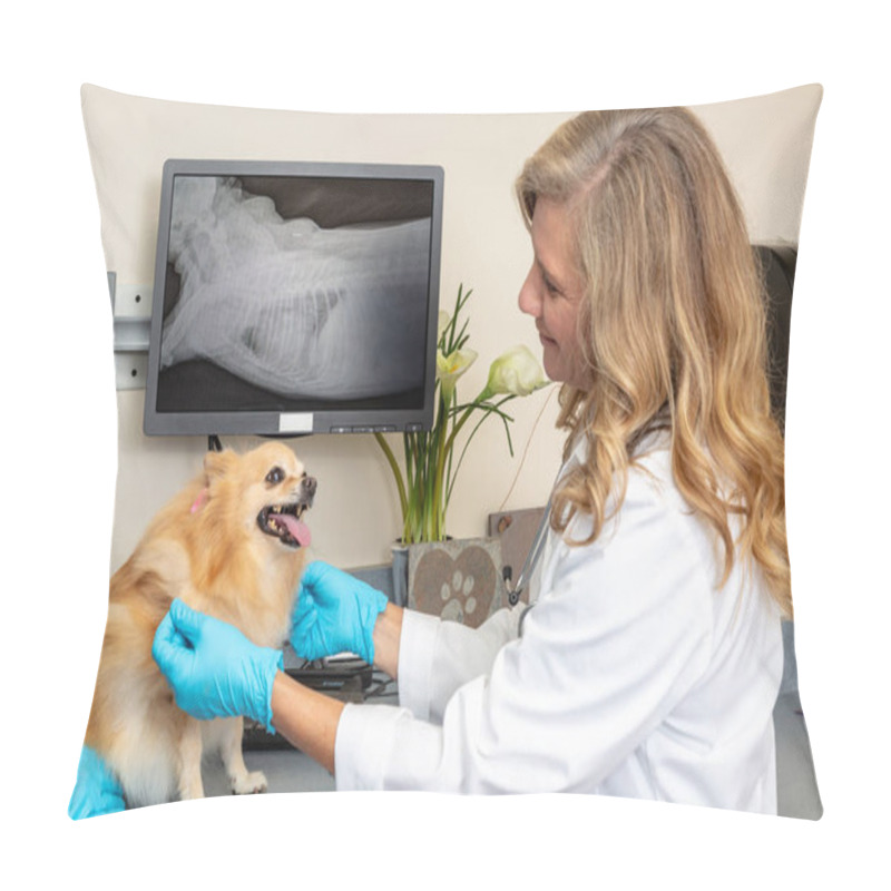 Personality  Veterinarian Examining Dog With Xrays On Screen In Background Pillow Covers