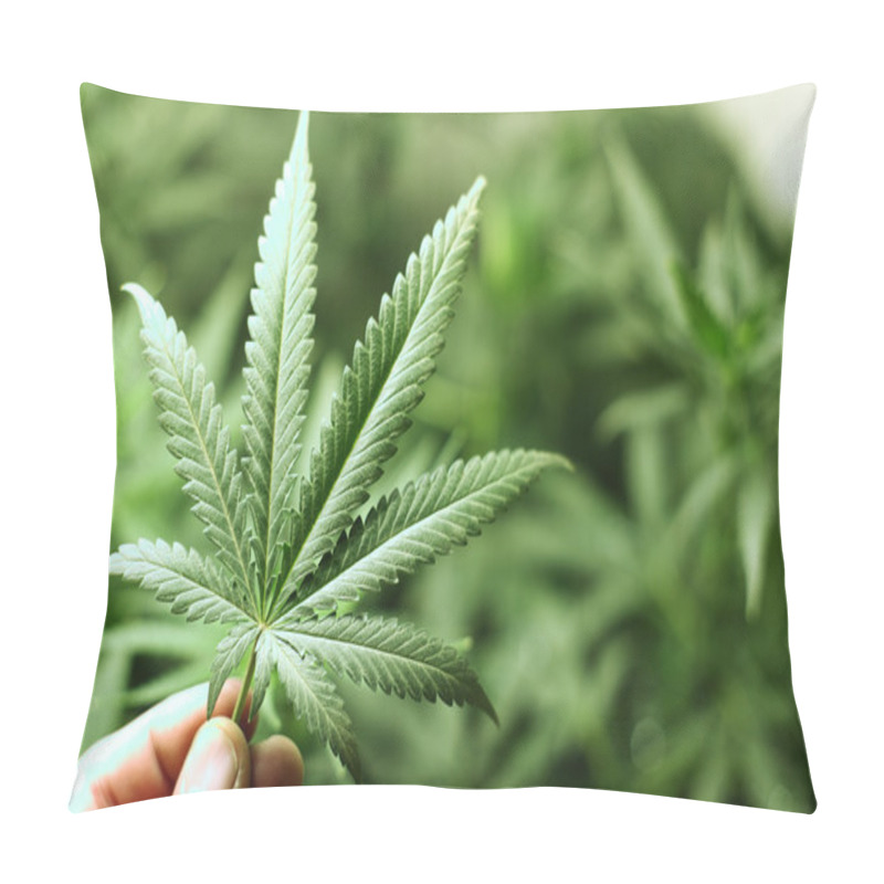 Personality  Cannabis Background Pillow Covers