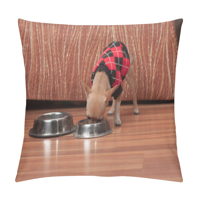 Personality  Chihuahua Puppy Dressed With Pullover Feeding Granules At Home. Pillow Covers