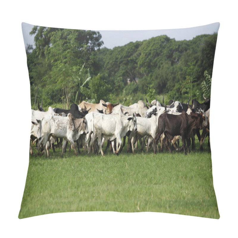 Personality  Afrikan Cattle Between Green Palms Pillow Covers