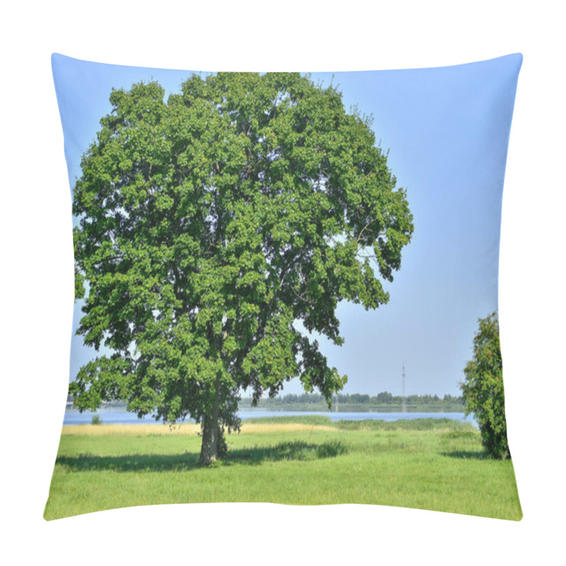 Personality  Lonely Big Tree In Green Field On A Background Clear Sky Pillow Covers