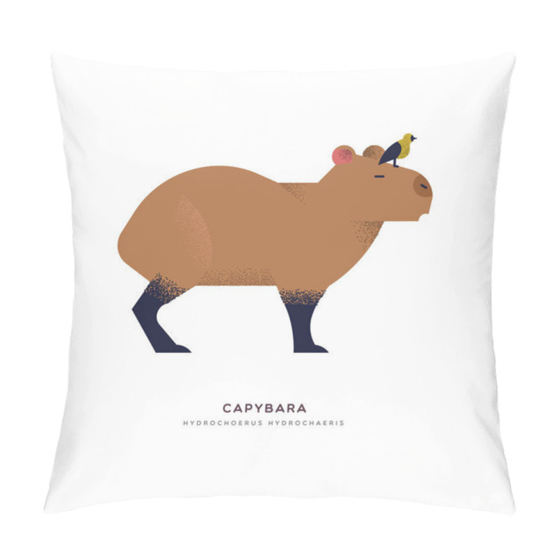 Personality  Capybara Wild Animal On Isolated Background Pillow Covers