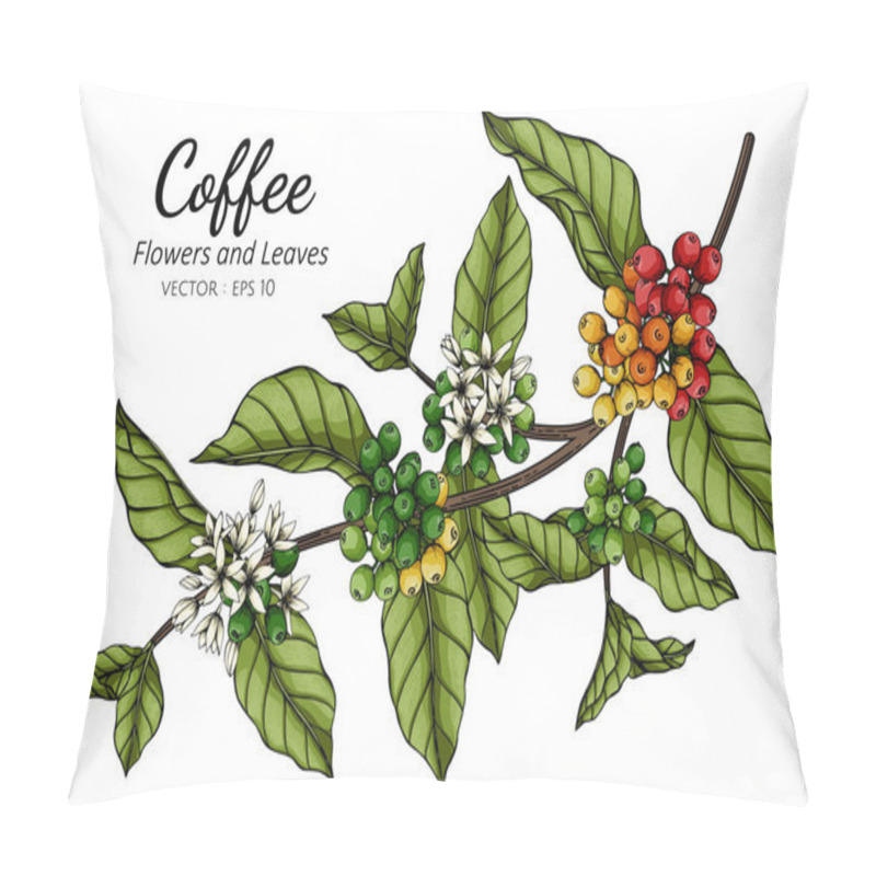 Personality  Coffee Flower And Leaf Drawing Illustration With Line Art On White Backgrounds. Pillow Covers