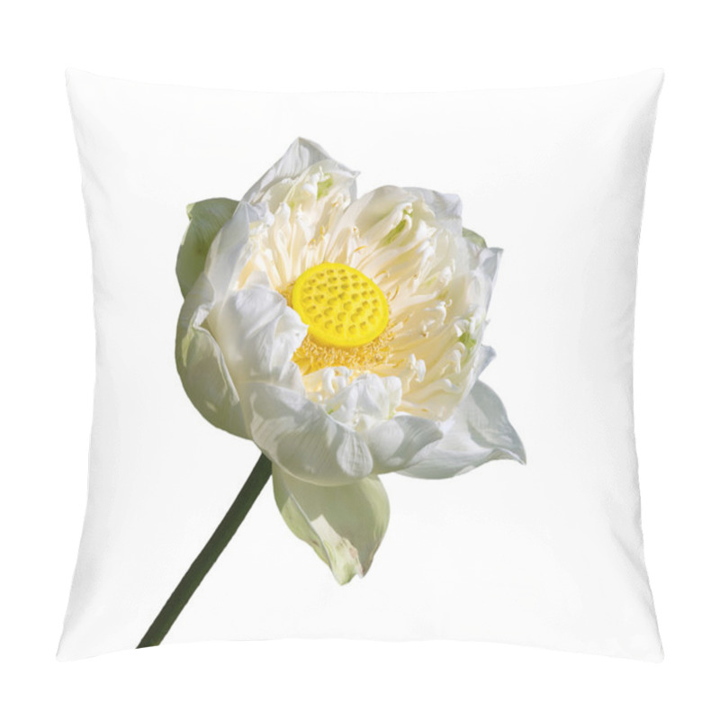 Personality  Lotus Flower On White Background Pillow Covers