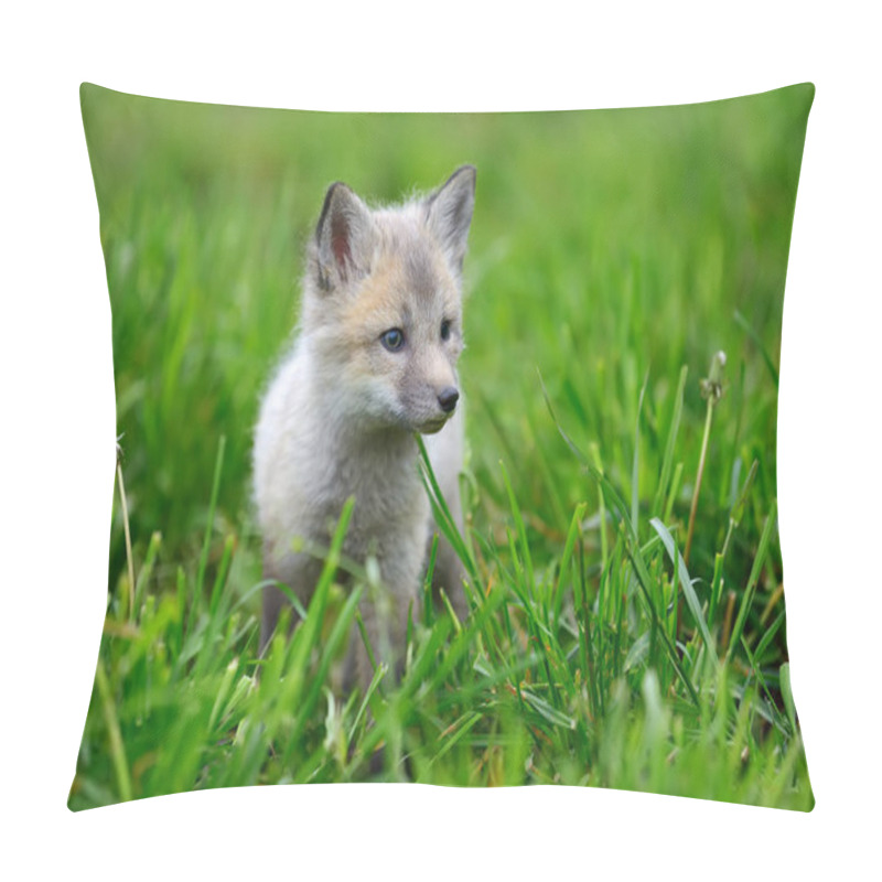 Personality  Baby Silver Fox Pillow Covers