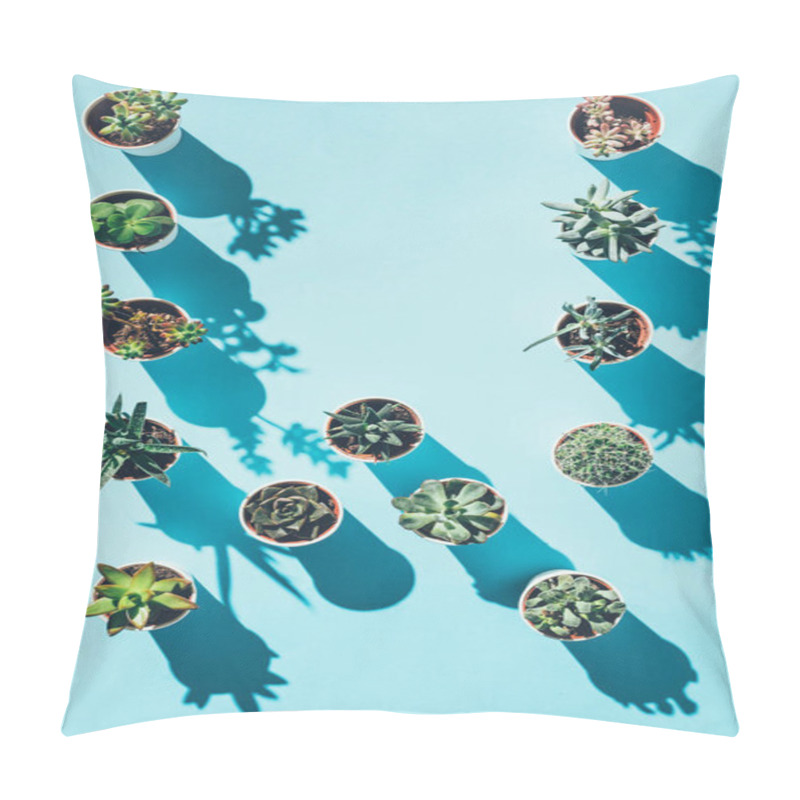 Personality  Top View Of Letter W Made From Green Potted Plants On Blue Pillow Covers