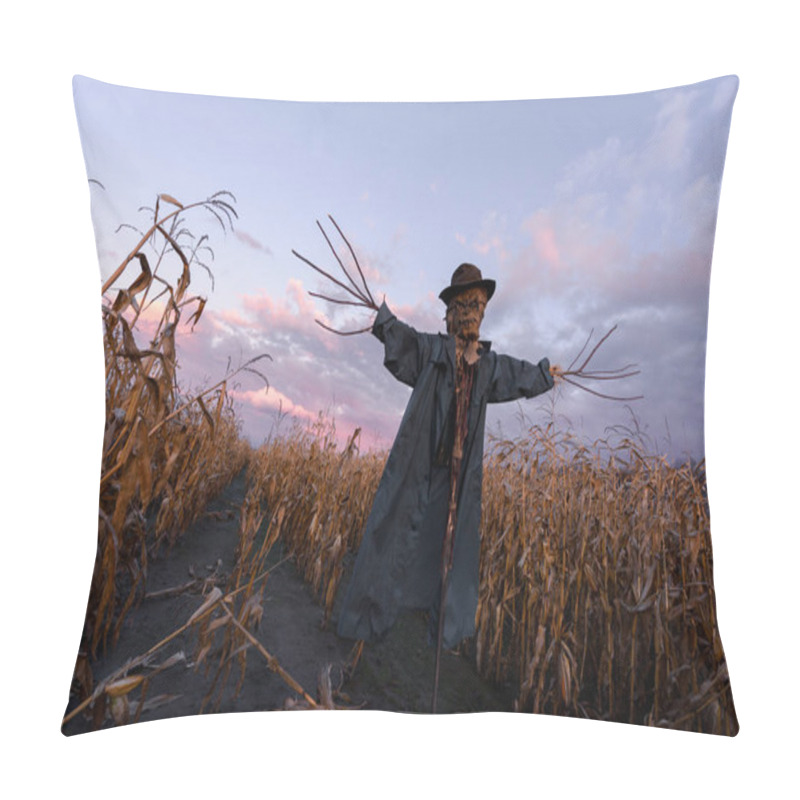 Personality  Scary Scarecrow In A Hat Pillow Covers