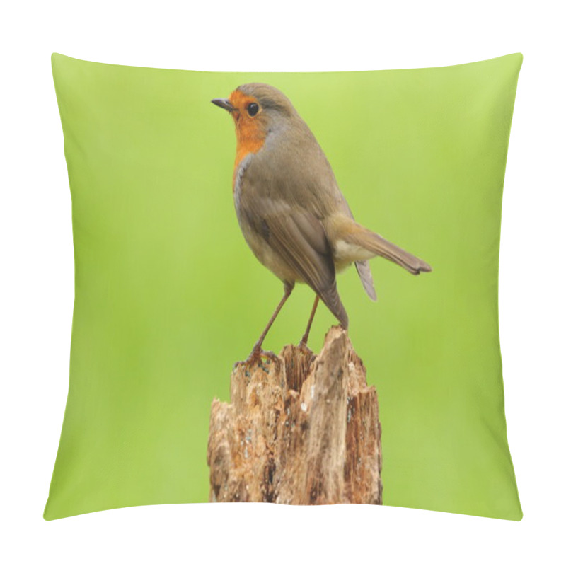 Personality  Robin - Erithacus Rubecula Pillow Covers