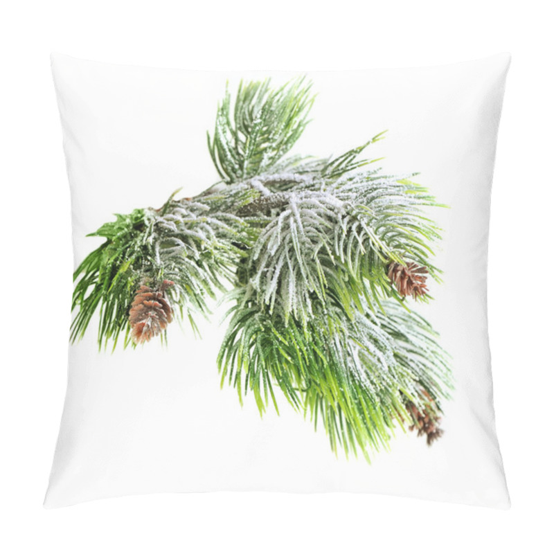 Personality  Christmas Evergreen Spruce Tree With Fresh Snow Isolated Pillow Covers