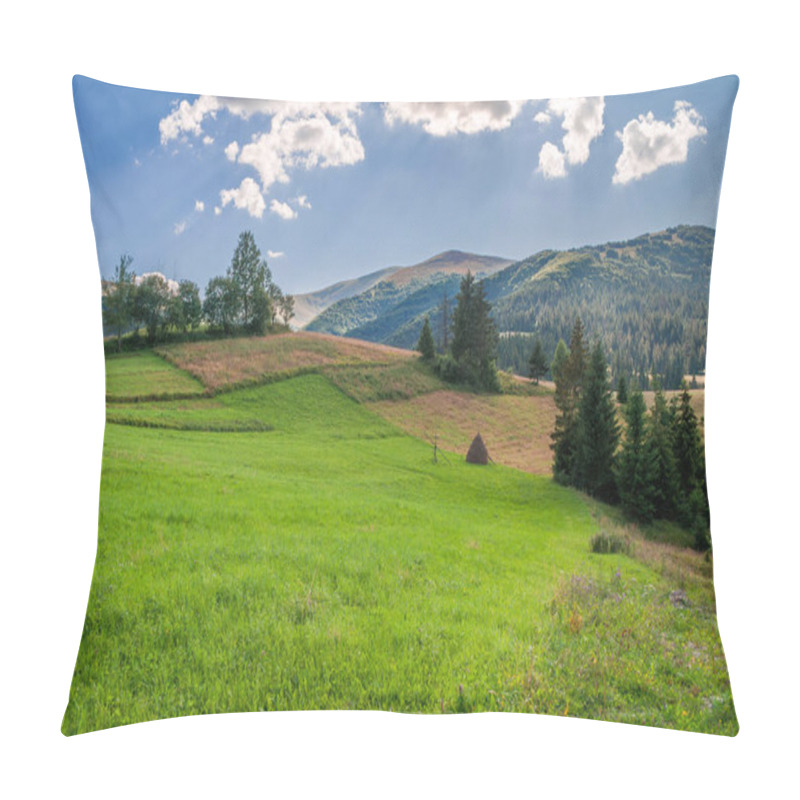 Personality  Picturesque Summer Mountain Landscape With Coniferous Trees And Green Meadow In The Foreground. Ukrainian Carpathians, Borzhava Massif Pillow Covers