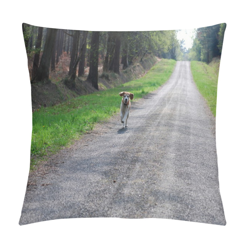 Personality  Wait For Me! Pillow Covers