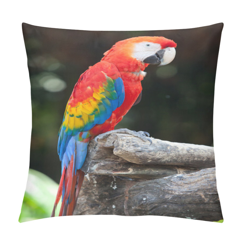 Personality  Scarlet Macaw Pillow Covers