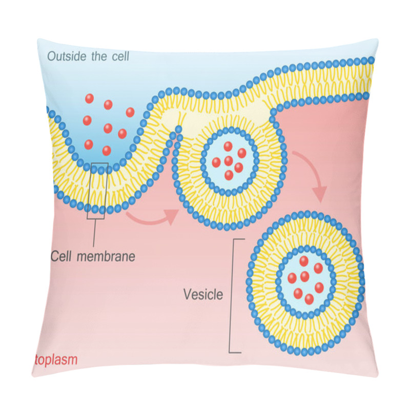 Personality  Endocytosis Vesicle Transport Cell Membrane Pillow Covers