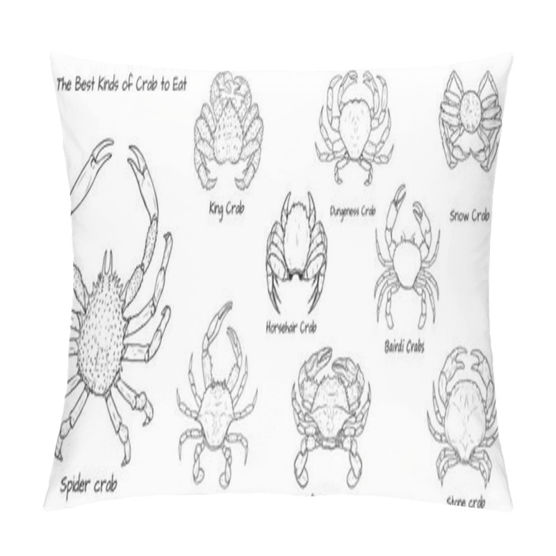 Personality  Set Of The Best Kinds Of Crab To Eat.Crab Vector By Hand Drawing.crab Silhouette On White Background.Horsehair Crab Art Highly Detailed In Line Art Style.Animal Pictures For Coloring. Pillow Covers