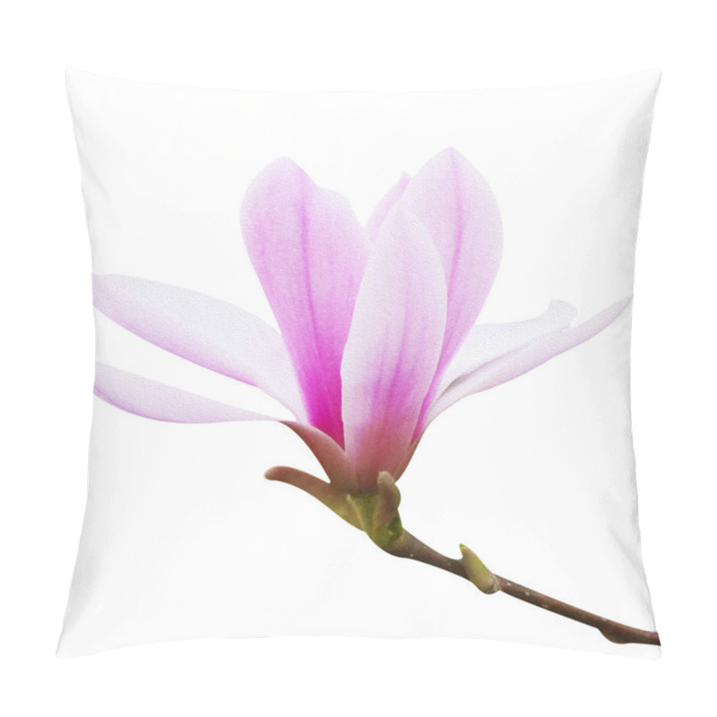 Personality  Macro Photo Blooming Magnolia On White Isolated Background Pillow Covers