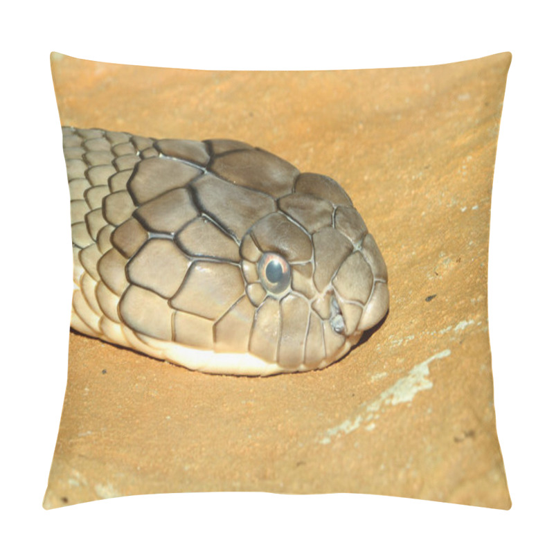 Personality  Head Shot King Cobra Snake On Sand Pillow Covers