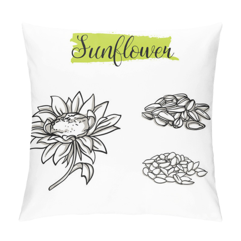 Personality  Beautiful Vector Hand Drawn Sunflower, Seeds. Organic Food, Vector Doodle Illustrations Collection Isolated On White Background. Pillow Covers