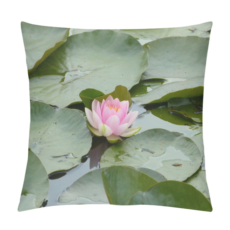 Personality  Water Lilies On Pond Pillow Covers