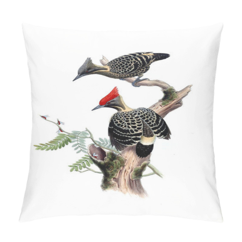 Personality  Illustration Of Animals Old Image Pillow Covers