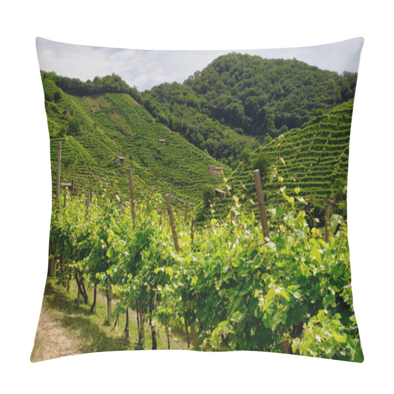 Personality  Path To Vineyards Under Hills In The Valdobbiadene Area Pillow Covers