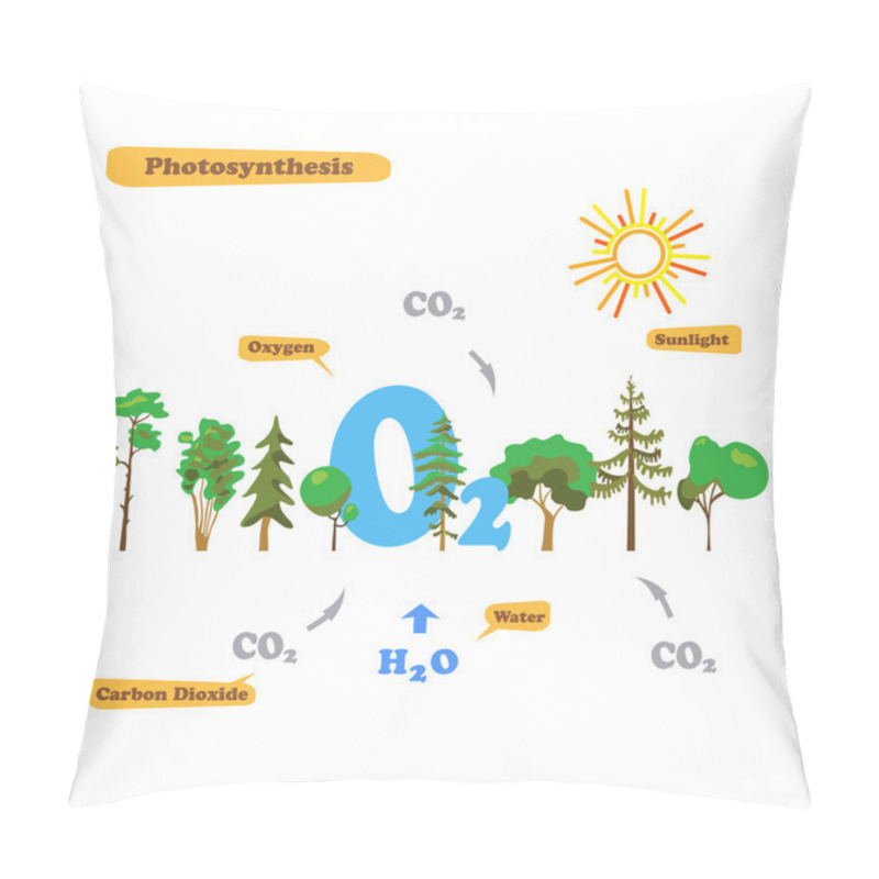 Personality  Image Of Photosynthesis Pillow Covers