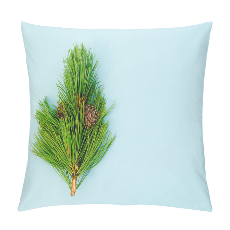 Personality  Natural Evergreen Cedar Branche With Cones On Blue Background. Copy Space Top View Template For Your Design, Invitation, Postcard Pillow Covers