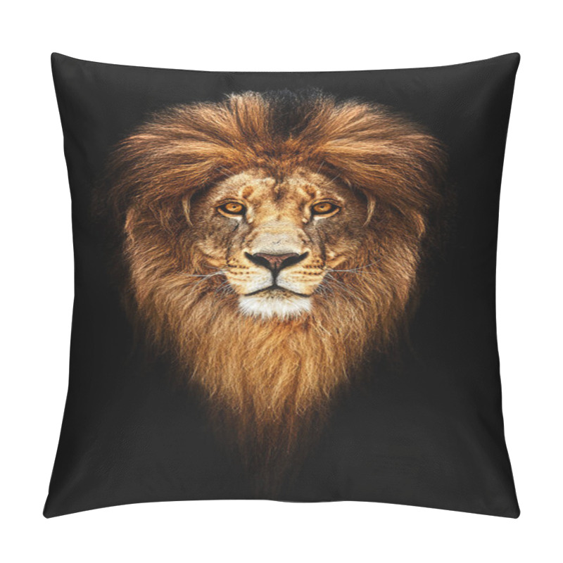 Personality  Portrait Of A Beautiful Lion, Lion In Dark Pillow Covers