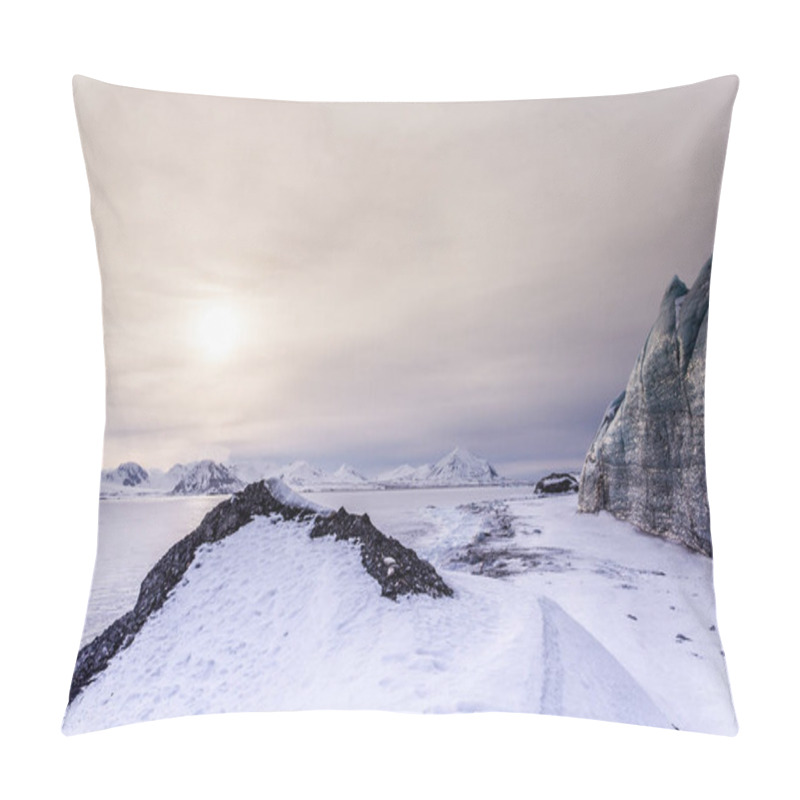 Personality  Picture Of An Icy Frozen Landscape  Pillow Covers