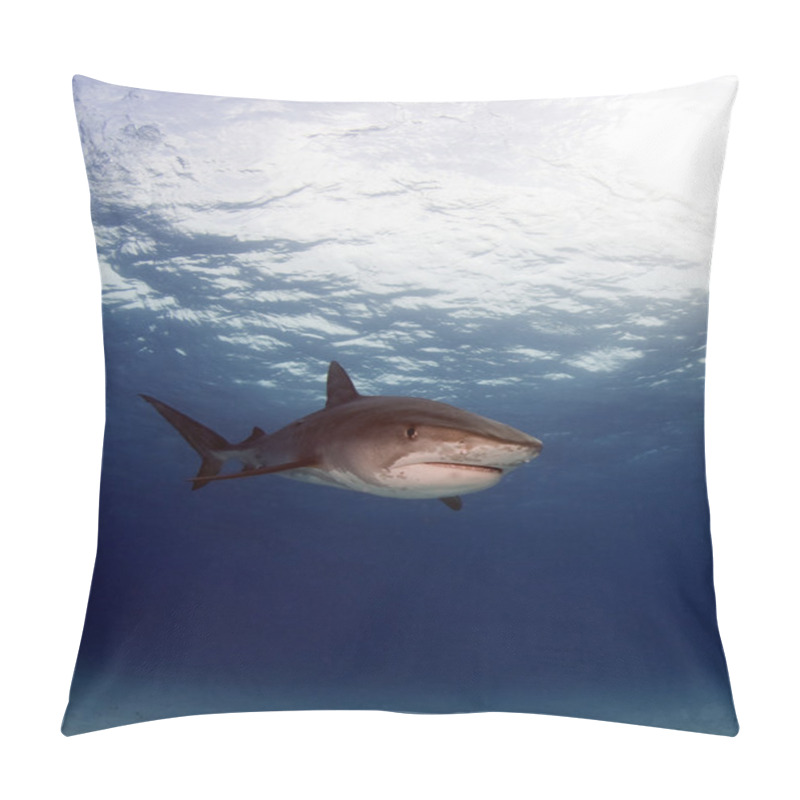 Personality  The Hunter Pillow Covers