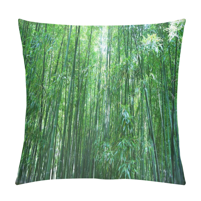 Personality  Asian Bamboo Forest Pillow Covers