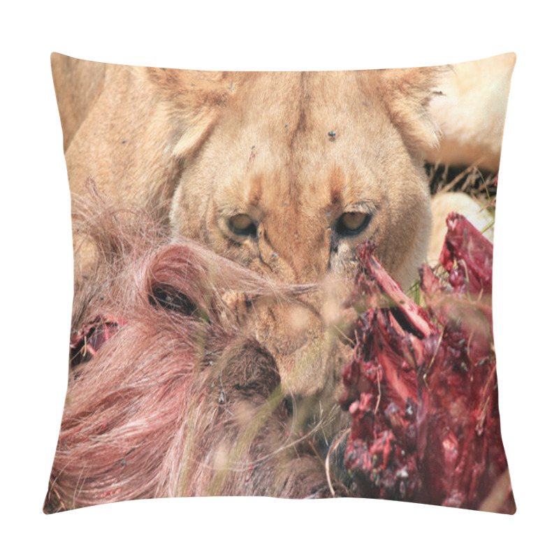 Personality  Lion Eating A Wildebeest Pillow Covers