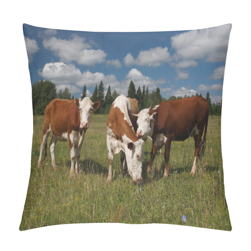 Personality  Cows On A Green Field With Woods In The Background Pillow Covers