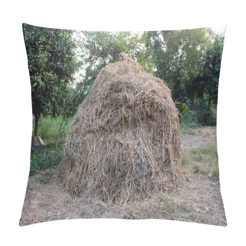 Personality  Traditional Straw Stacks Of Rural Bengal Pillow Covers