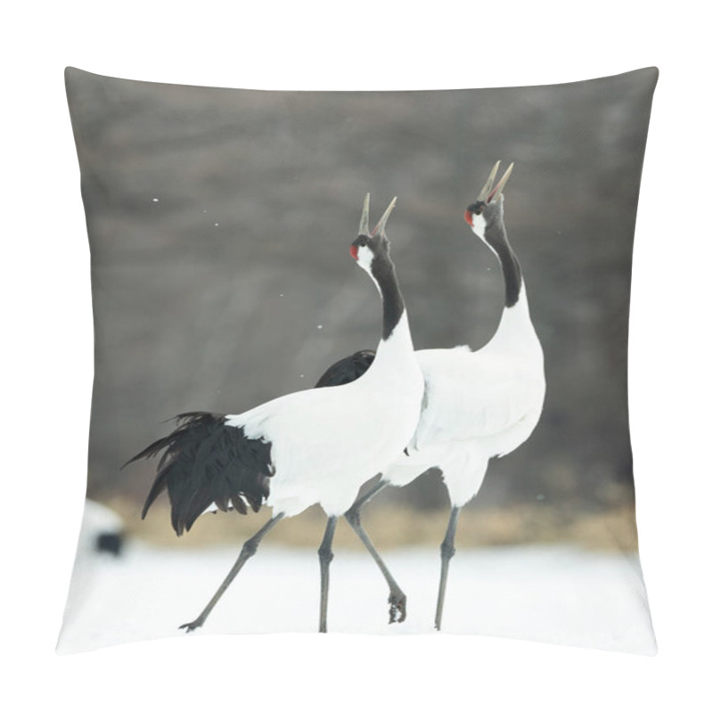 Personality  The Ritual Marriage Dance Of Cranes. The Red-crowned Cranes. Scientific Name: Grus Japonensis, Also Called The Japanese Crane Or Manchurian Crane, Is A Large East Asian Crane. Pillow Covers