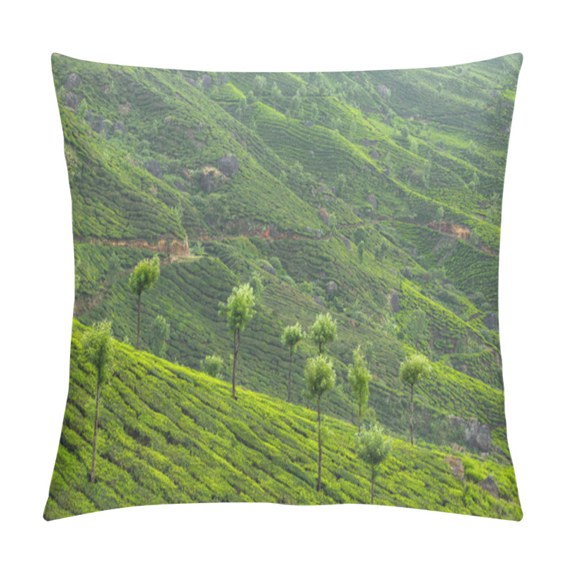 Personality  Tea Plantations In Munnar Pillow Covers