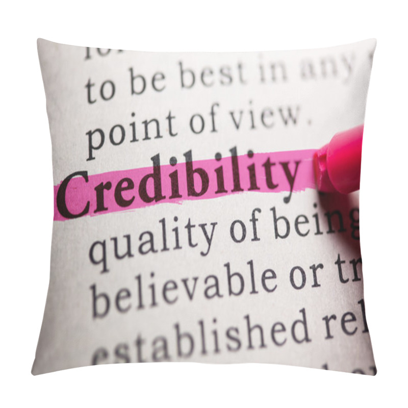 Personality  Credibility  Pillow Covers