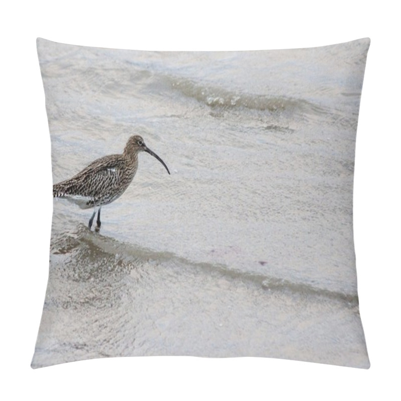 Personality  Curlew In Clontarf, Ireland Pillow Covers