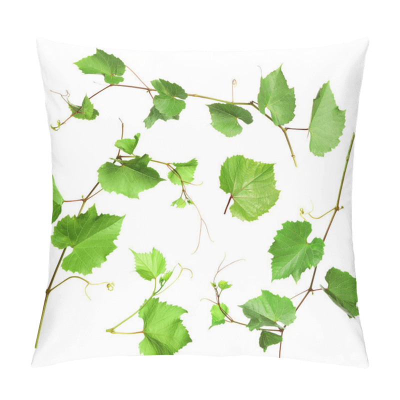 Personality  Set Of Grapevines With Green Leaves On White Background Pillow Covers