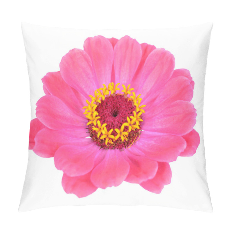 Personality   Pink  Zinnia Pillow Covers