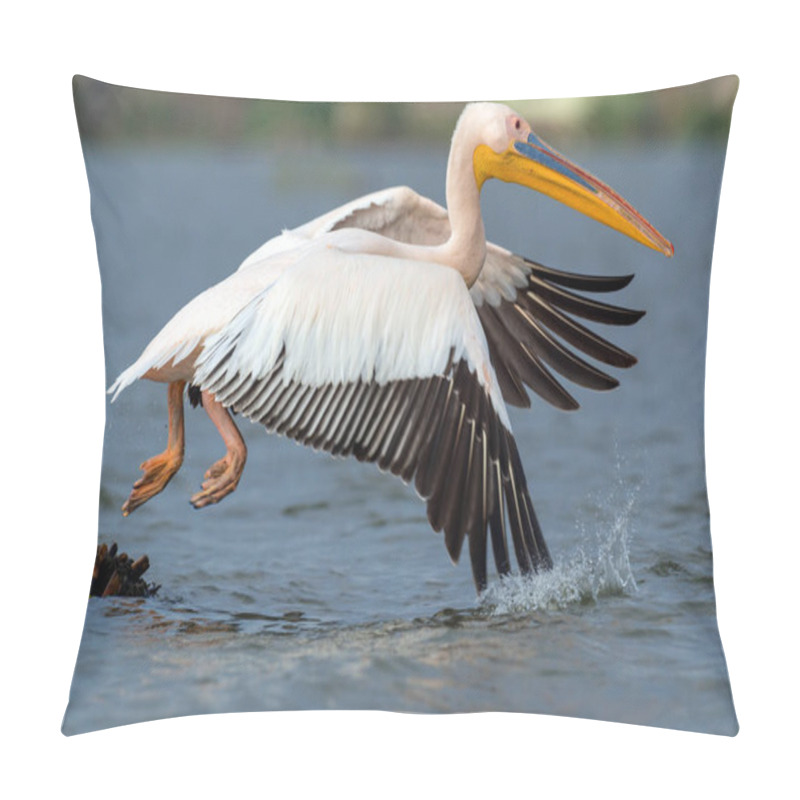 Personality  Great White Pelican Pillow Covers