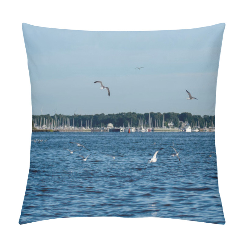 Personality  Seagulls Over Greenwich Bay Harbor Seaport In East Greenwich Rho Pillow Covers