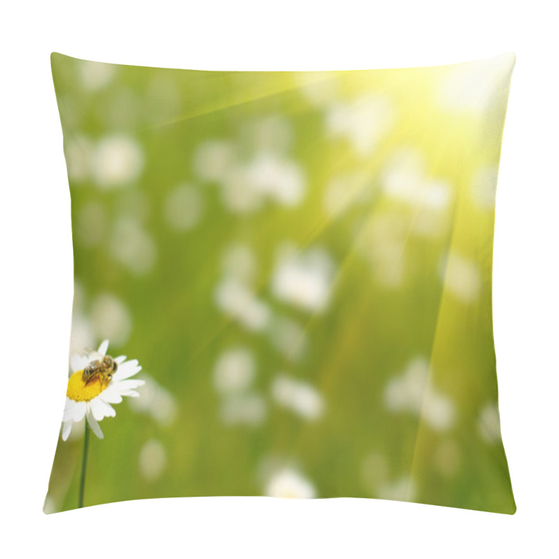 Personality  Daisy And Bee Pillow Covers