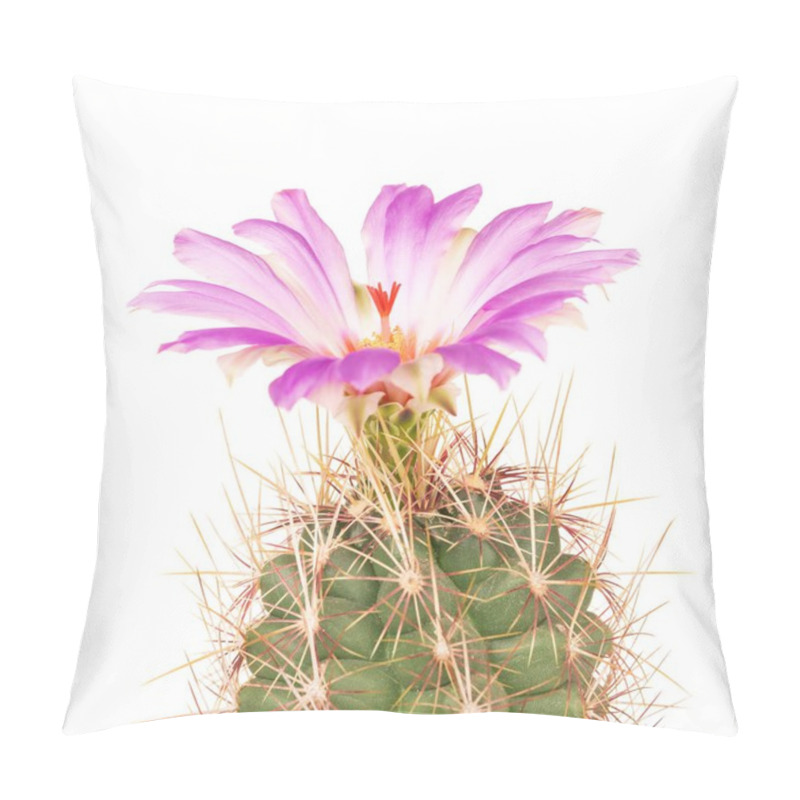 Personality  Bright Cactus Flower Pillow Covers