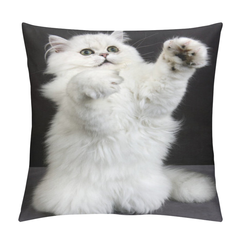 Personality  Chinchilla Persian Domestic Cat With Green Eyes, Cat Playing  Agaisnt Black Background   Pillow Covers