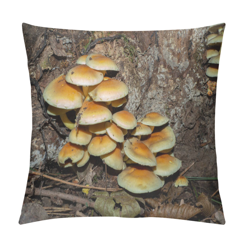 Personality  Group Of Armillaria On On An Old Wooden Stump Pillow Covers