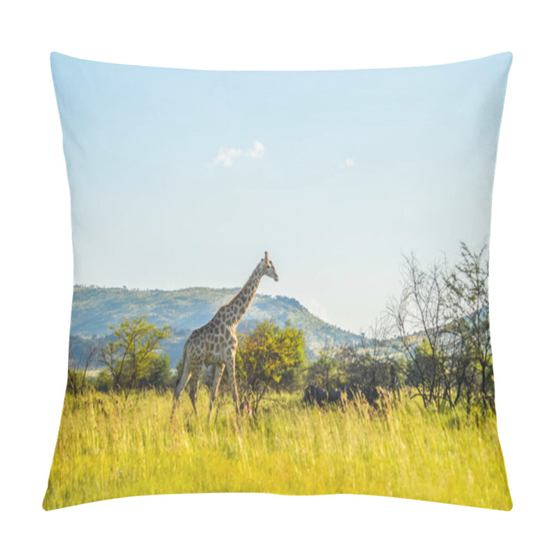 Personality  Authentic True South African Safari Experience In Bushveld In A Game Reserve Pillow Covers