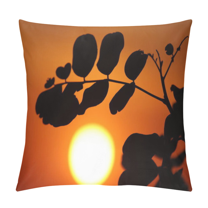 Personality  Silhouette Of Carob (Ceratonia Siliqua) Leaves At Sunset Pillow Covers